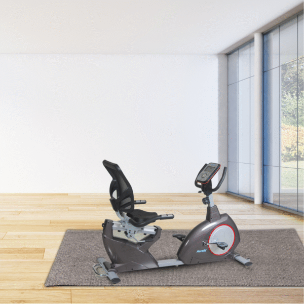 Aerofit AF-664R Recumbent Bike - Image 2