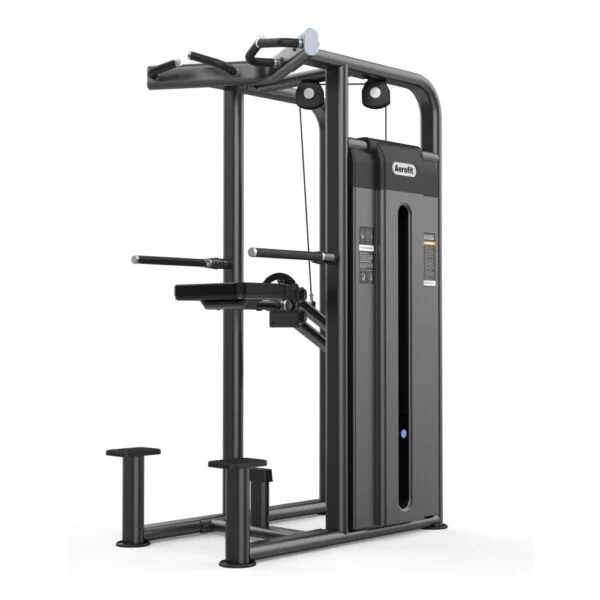 Aerofit AF-4809 Dip chin Assit (Aero Power Series)