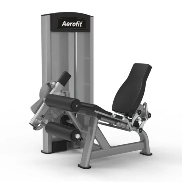 Aerofit AF-6108 Seated Leg Curl (ZEAL SERIES)