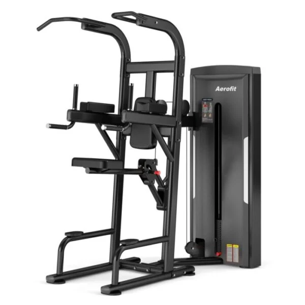 Aerofit AF-6525 Easy Chin/Dp (HAWK SERIES)