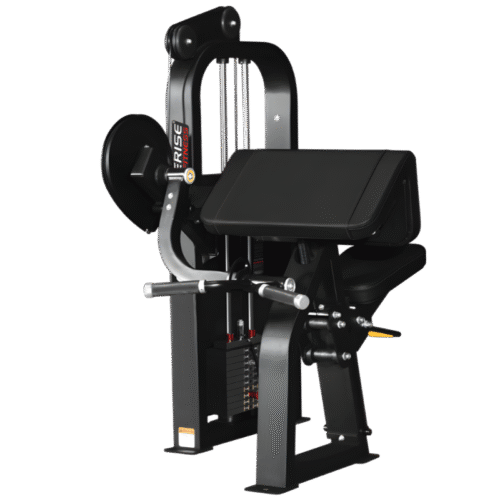 Everise Fitness DY5025 Bicep Curl (Dynamic Series)