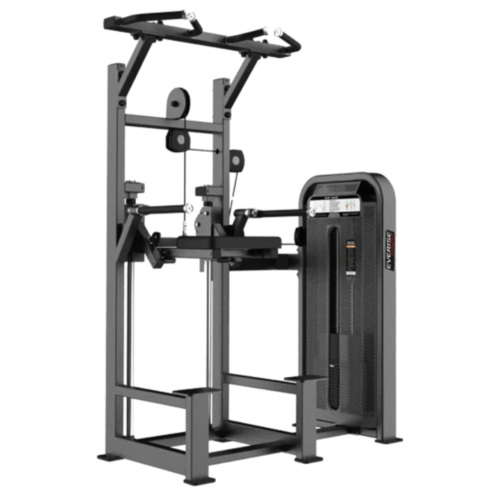 Buy Dip and Chin Assist online at Metro Sports