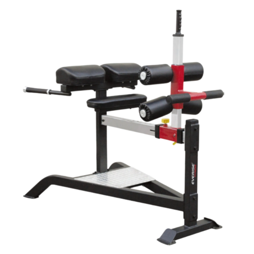 Buy Glute Ham Developer online at Metro Sports
