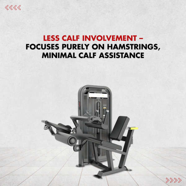Everise Fitness Seated Leg Curl EV7002 (Evolution Series) - Image 2
