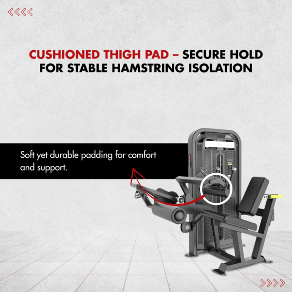 Everise Fitness Seated Leg Curl EV7002 (Evolution Series) - Image 4