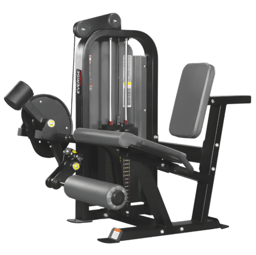 Everise Fitness DY5003 Leg Extension (Dynamic Series)