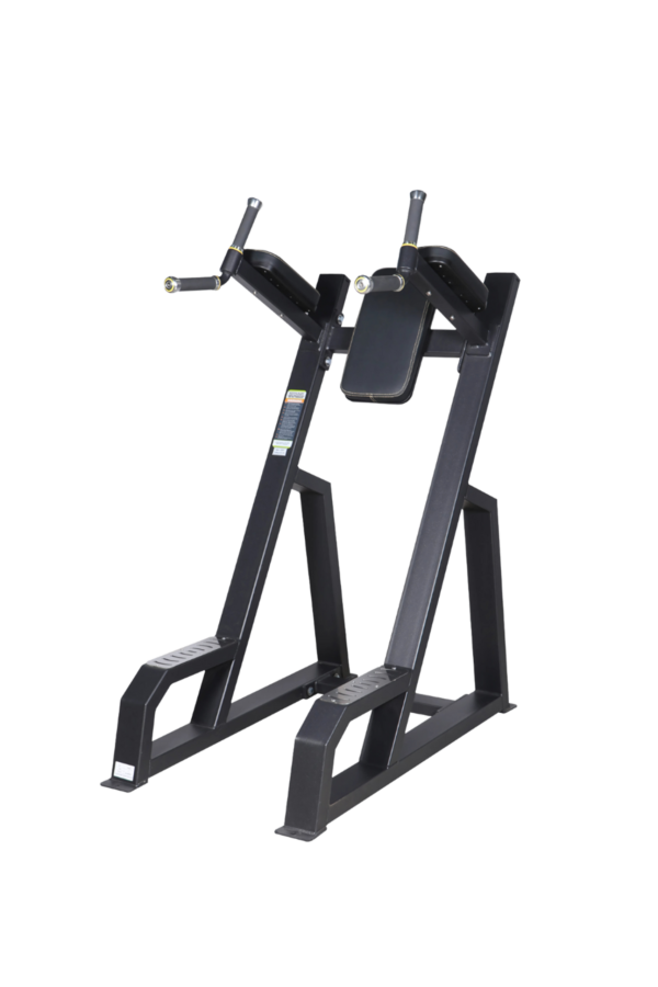 Aerofit AF-4441 Vertical Knees Up / Dip (NEO APPLE SERIES)
