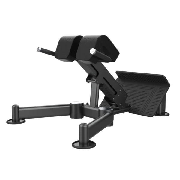 Aerofit AF-4838 Back Extension (AERO POWER SERIES)