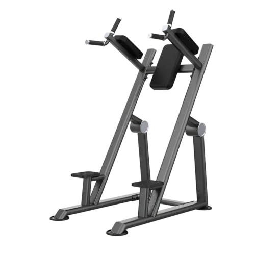 Aerofit AF-4839 Kness Up/Dip (AERO POWER SERIES)