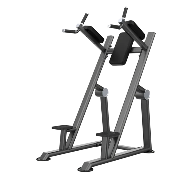 Aerofit AF-4839 Kness Up/Dip (AERO POWER SERIES)