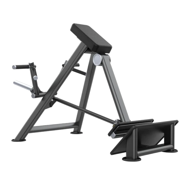 Aerofit AF-4845 Incline Level Row (AERO POWER SERIES)