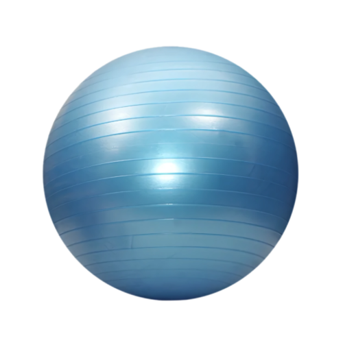 EXERCISE BALL / GYM BALL