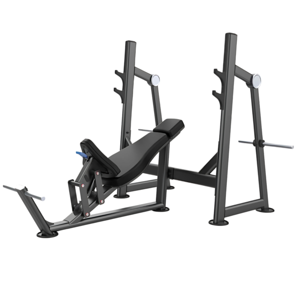 Aerofit AF-4835 Incline Bench (AERO POWER SERIES)
