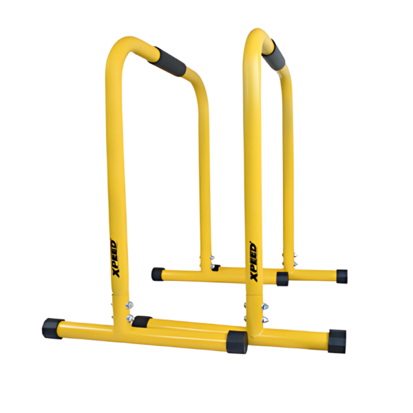 XPEED XP-2406 EQUALIZER BAR