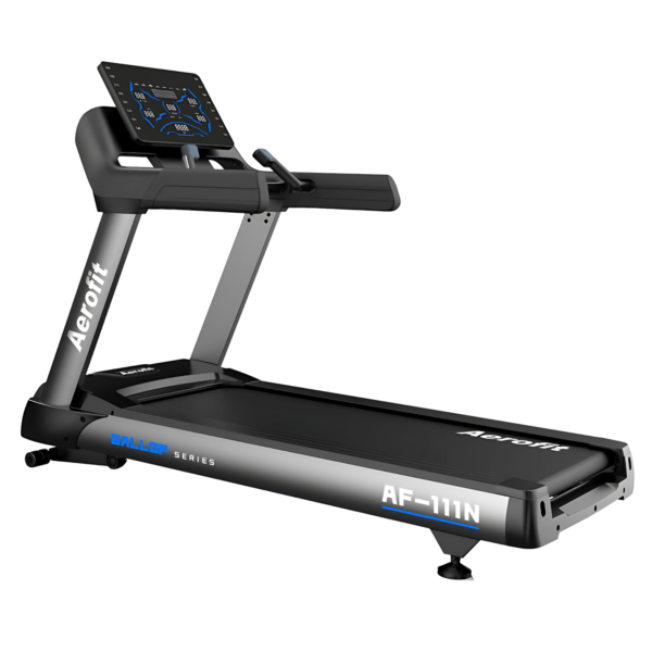 Aerofit AF-111 N Treadmill