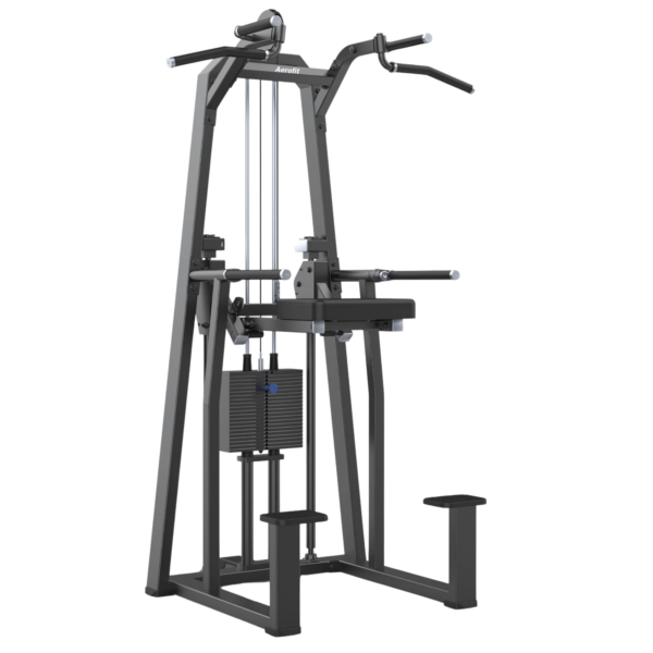 Aerofit AF-4307 Dip \ Chin Assit (COMPACT SERIES)