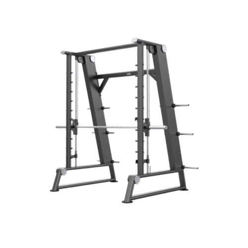 Aerofit AF-4847 Smith Machine (AERO POWER SERIES)