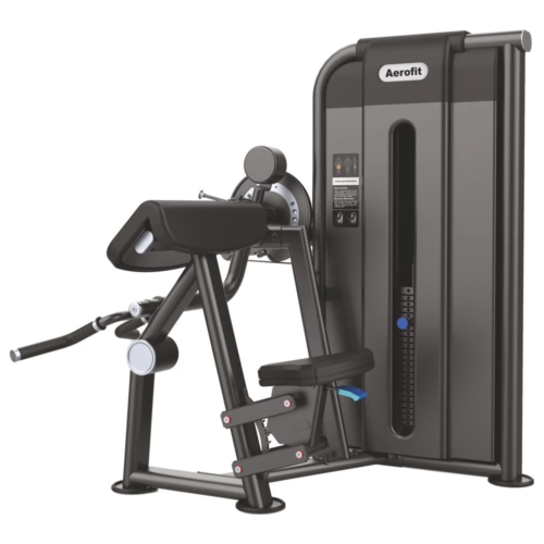 Aerofit AF-4885 Camber Curl/Triceps (Aero Power Series)