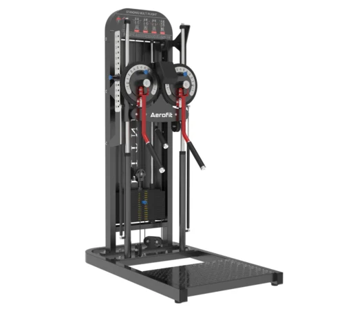 Aerofit AF-2870 Side Lateral Raise