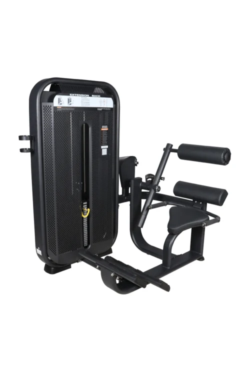 Aerofit AF-4613 Back Extension