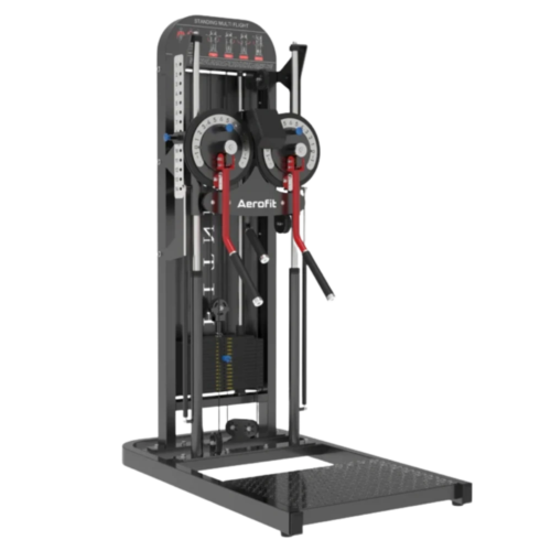 Buy Side Lateral Raise Machine online at Metro Sports