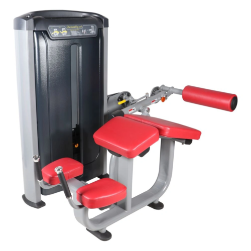 Buy Aerofit AF-8904 Horizontal Leg Curl