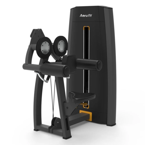 Aerofit AF-6203 Hurricane Series Lateral Raise machine